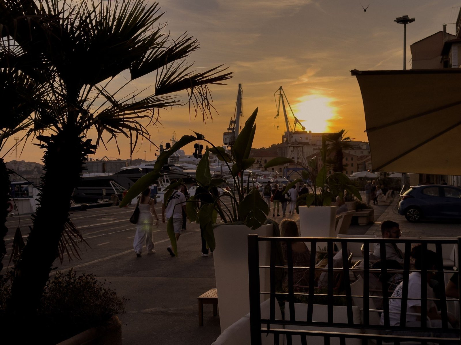 Tramonto sul porto di Imperia visto dal dehors del Chillout Zone, tra palme, piante e le gru del porto